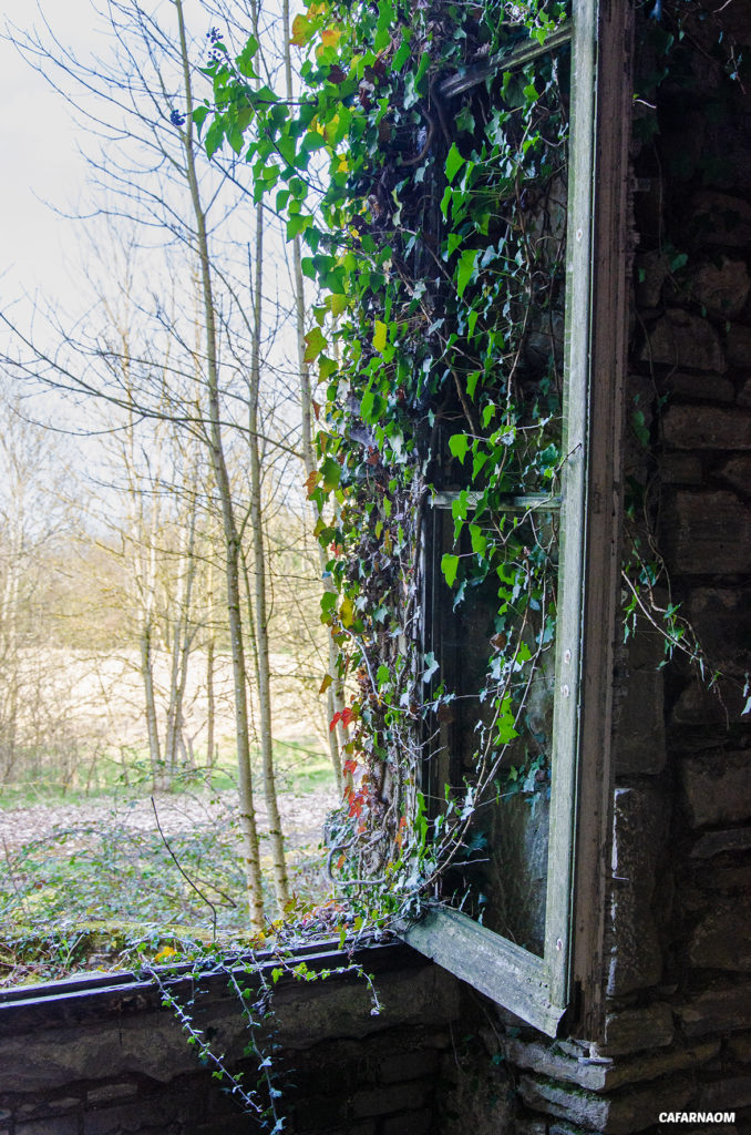 ChateauCoeurOuvert-003