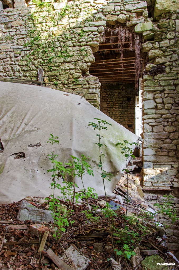 ChateauCoeurOuvert-008