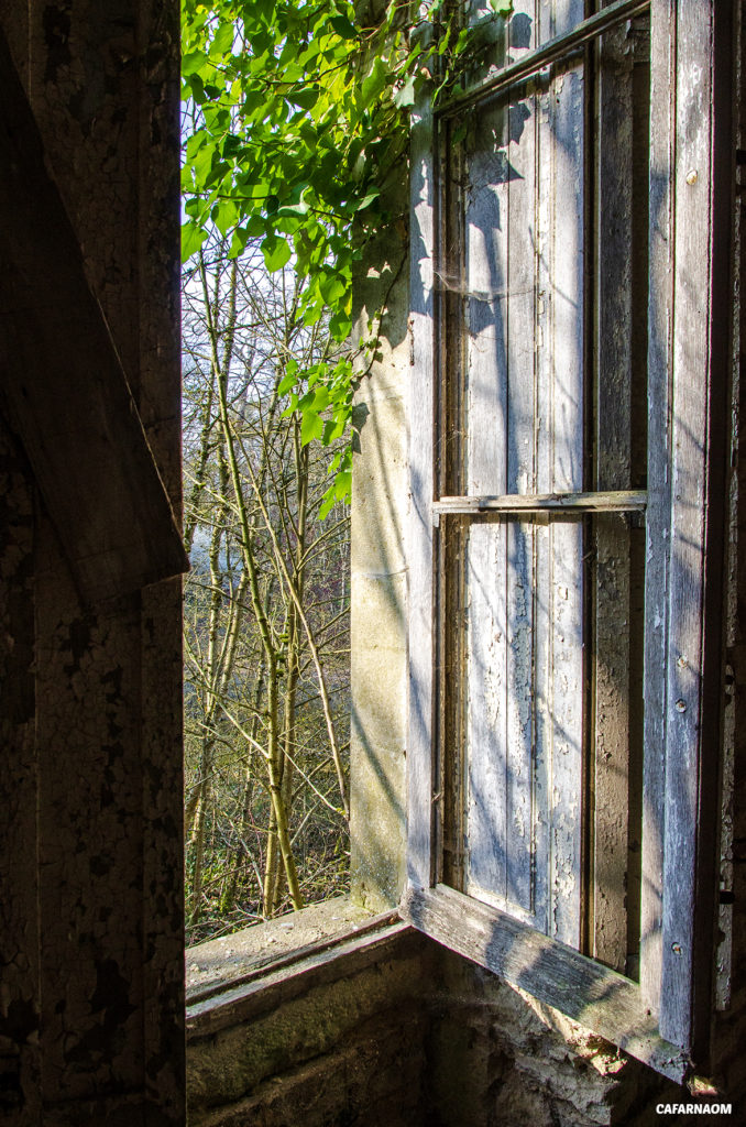 ChateauCoeurOuvert-017